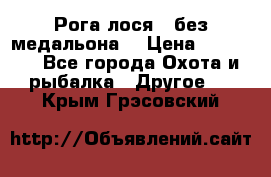 Рога лося , без медальона. › Цена ­ 15 000 - Все города Охота и рыбалка » Другое   . Крым,Грэсовский